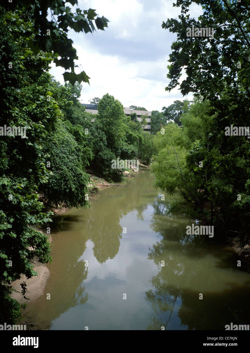 USA Houston Texas Bayou Bend Gardens The Bayou Stock Photo Alamy