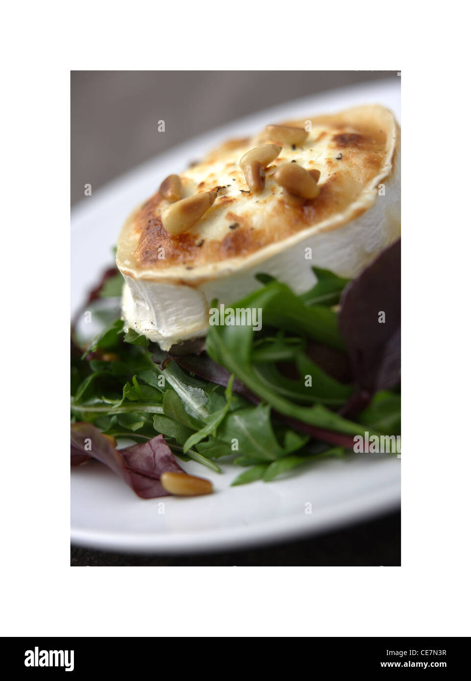 Grilled goats cheese salad Stock Photo Alamy