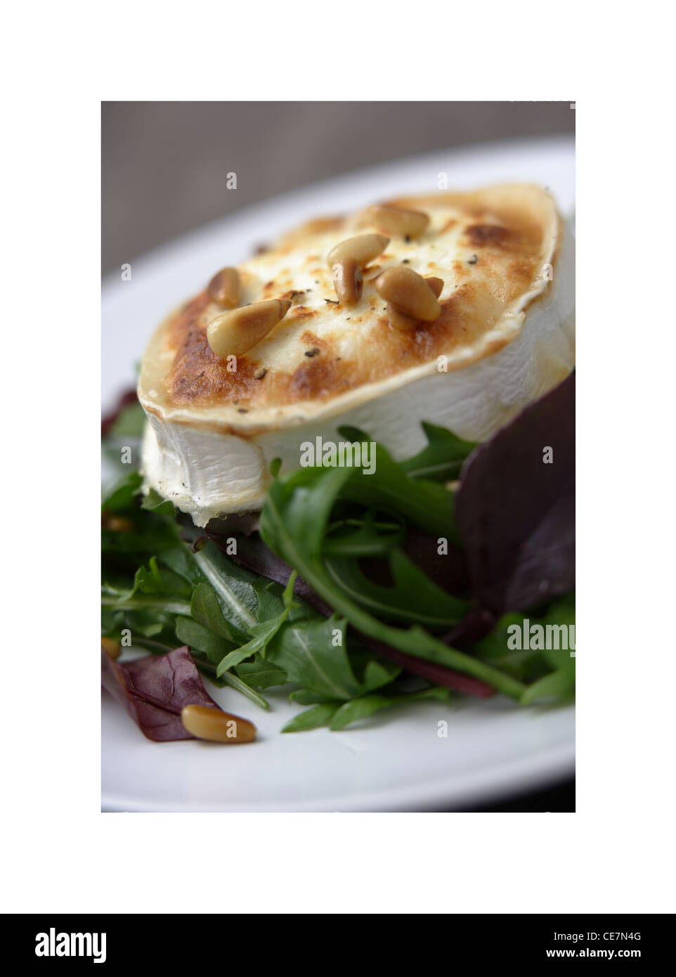 Grilled goats cheese salad Stock Photo Alamy