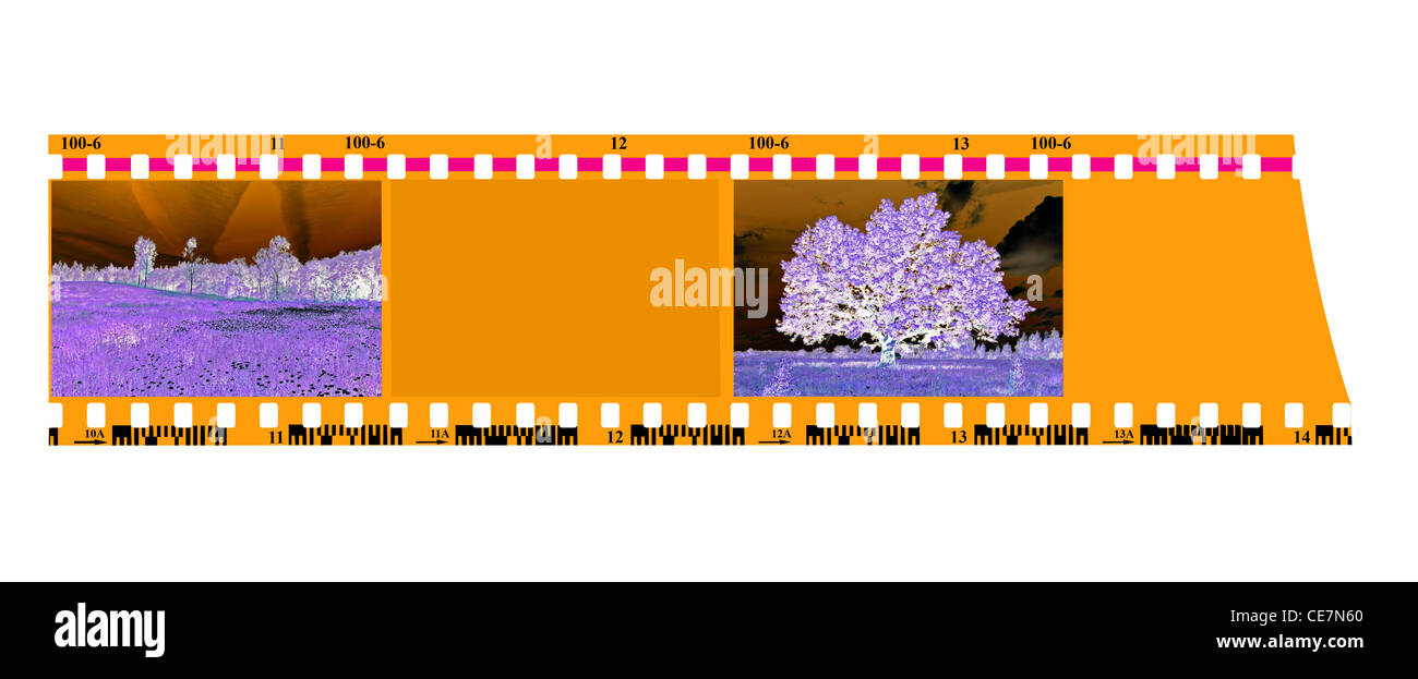 Developed film Cut Out Stock Images & Pictures - Alamy