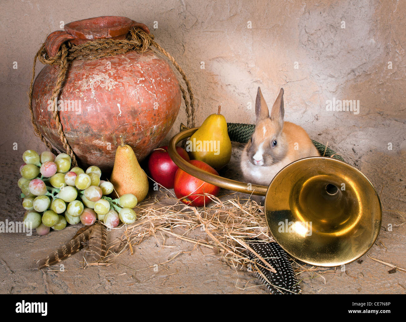 Hunting still life with a live rabbit and antique bugle horn Stock ...