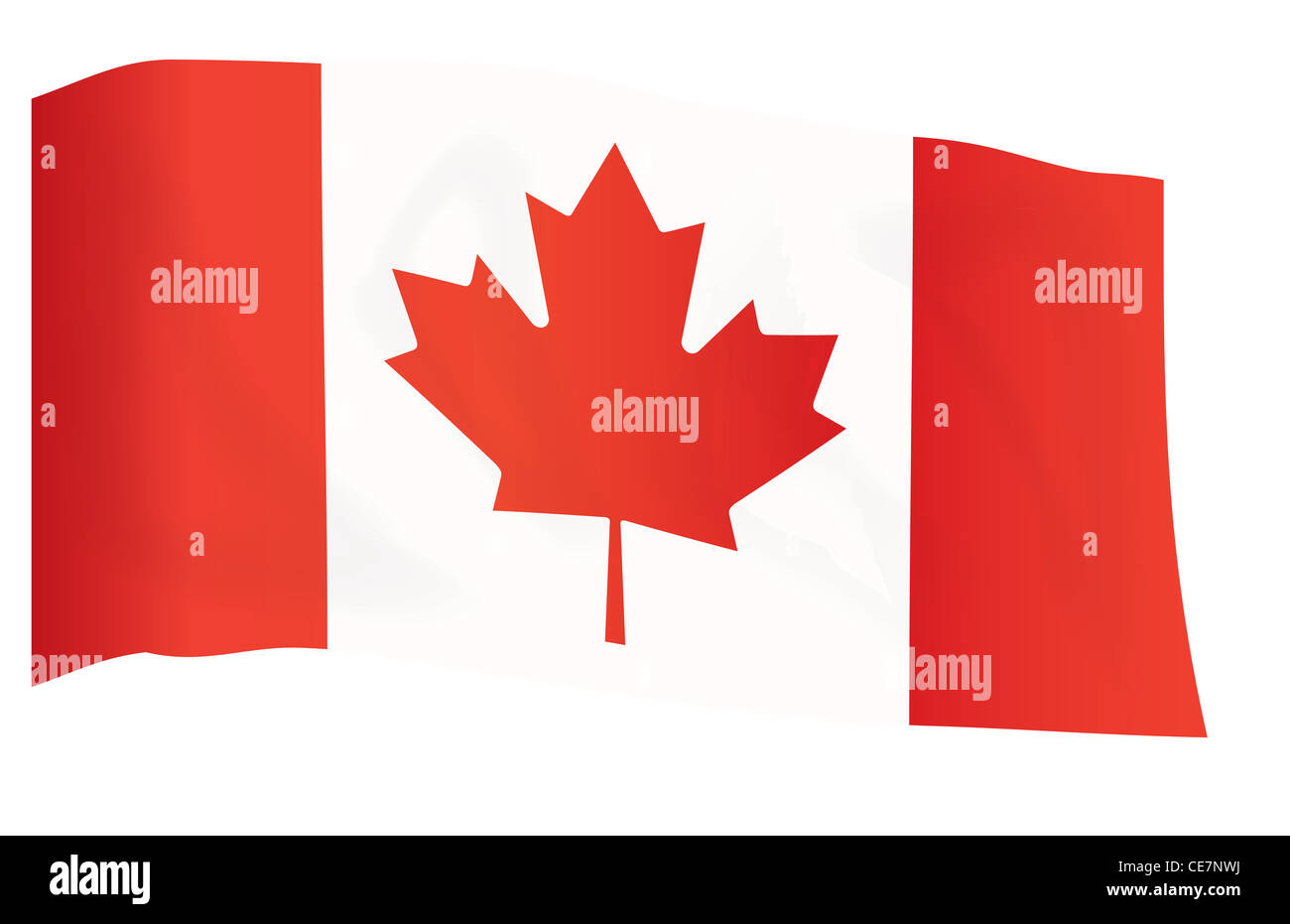 fly-away flag of Canada isolated on white illustration Stock Photo - Alamy