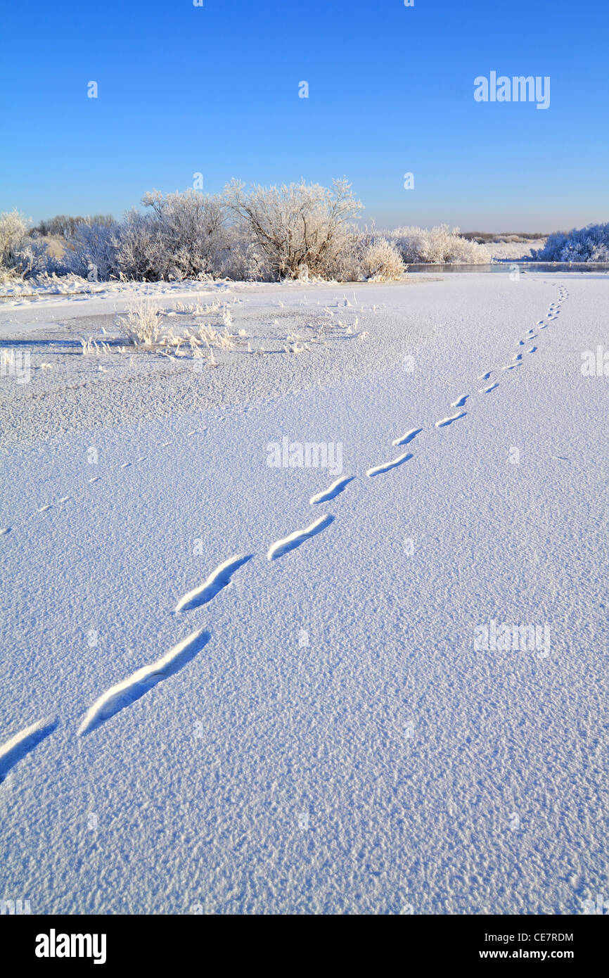 human trace on crystalline snow Stock Photo - Alamy