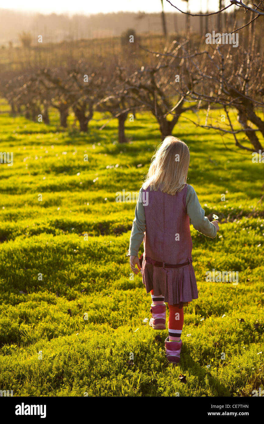 Cute little girl outdoors on a green field with flowers and pear trees ...