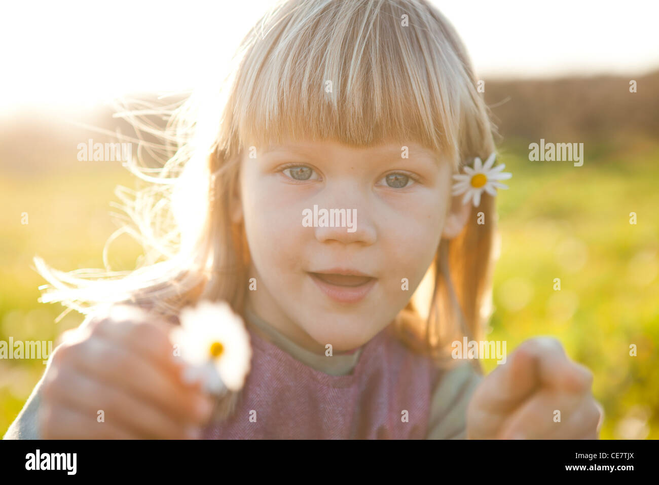 Cute little girl outdoors on a green field with a flower Stock Photo ...