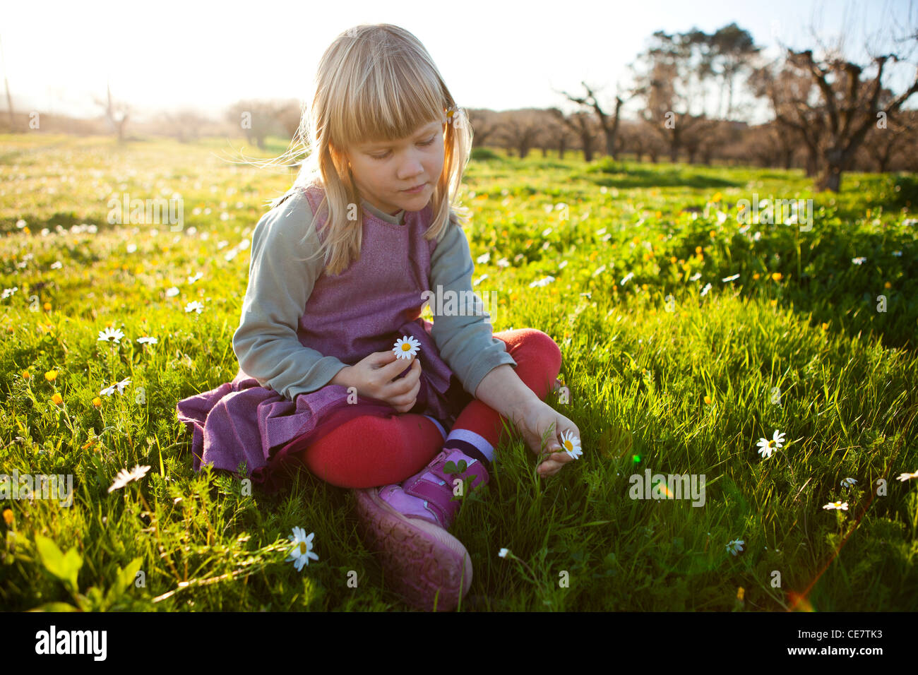Cute little girl outdoors on a green field with flowers Stock Photo - Alamy