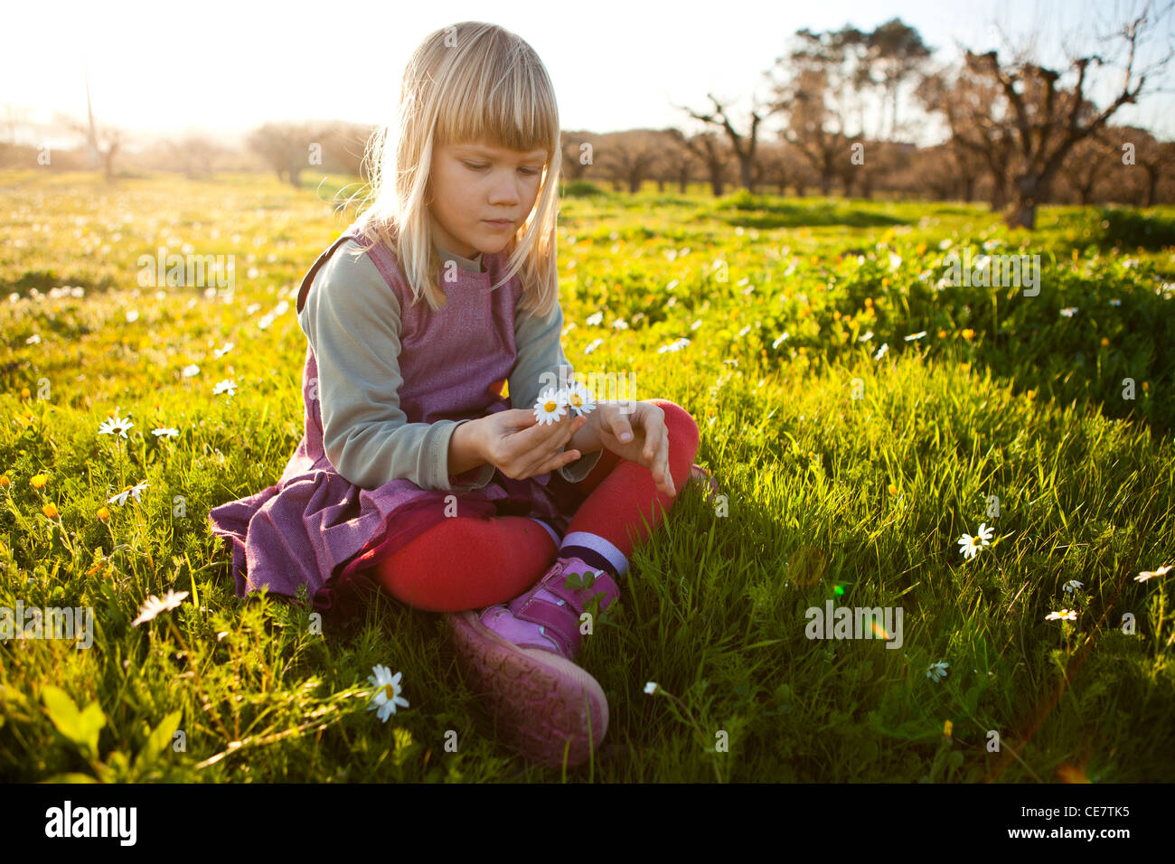 Cute little girl outdoors on a green field with flowers Stock Photo - Alamy