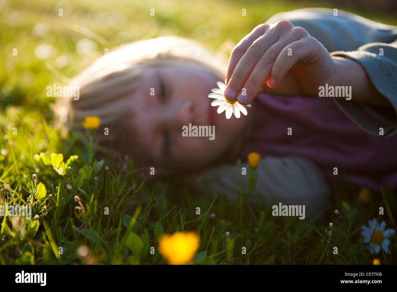 Cute little girl outdoors on a green field with flowers Stock Photo - Alamy