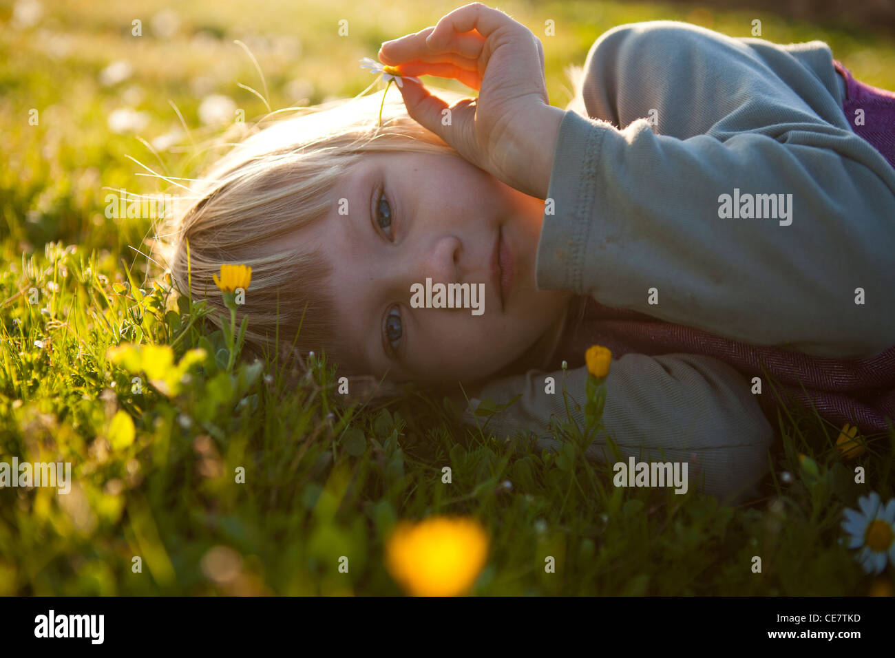 Cute little girl outdoors on a green field with flowers Stock Photo - Alamy