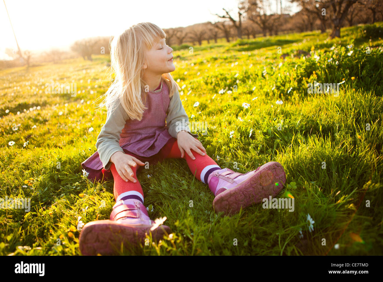 Cute little girl outdoors on a green field with flowers Stock Photo - Alamy