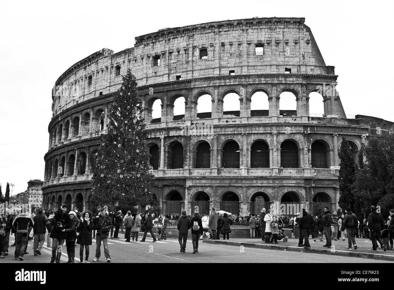 The Colosseum in Rome, Lazio, Italy with the Christmas season Christmas tree. Stock Photo