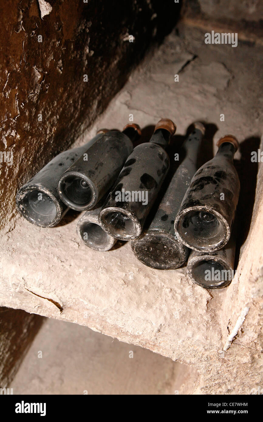 Aged bottles of wine in a wine basement Stock Photo