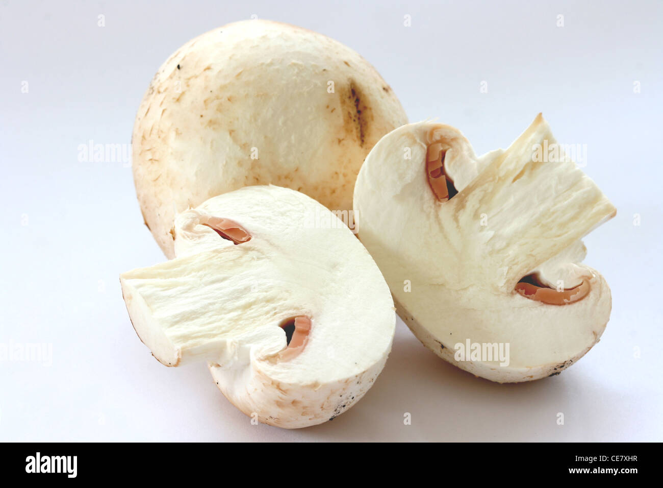Cut raw mushrooms agarics on grey background Stock Photo