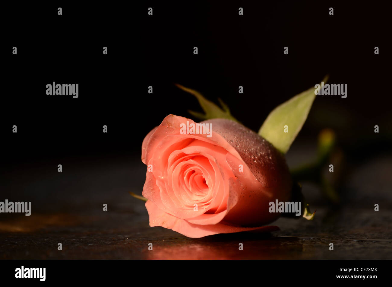 The colour of nature hi-res stock photography and images - Alamy