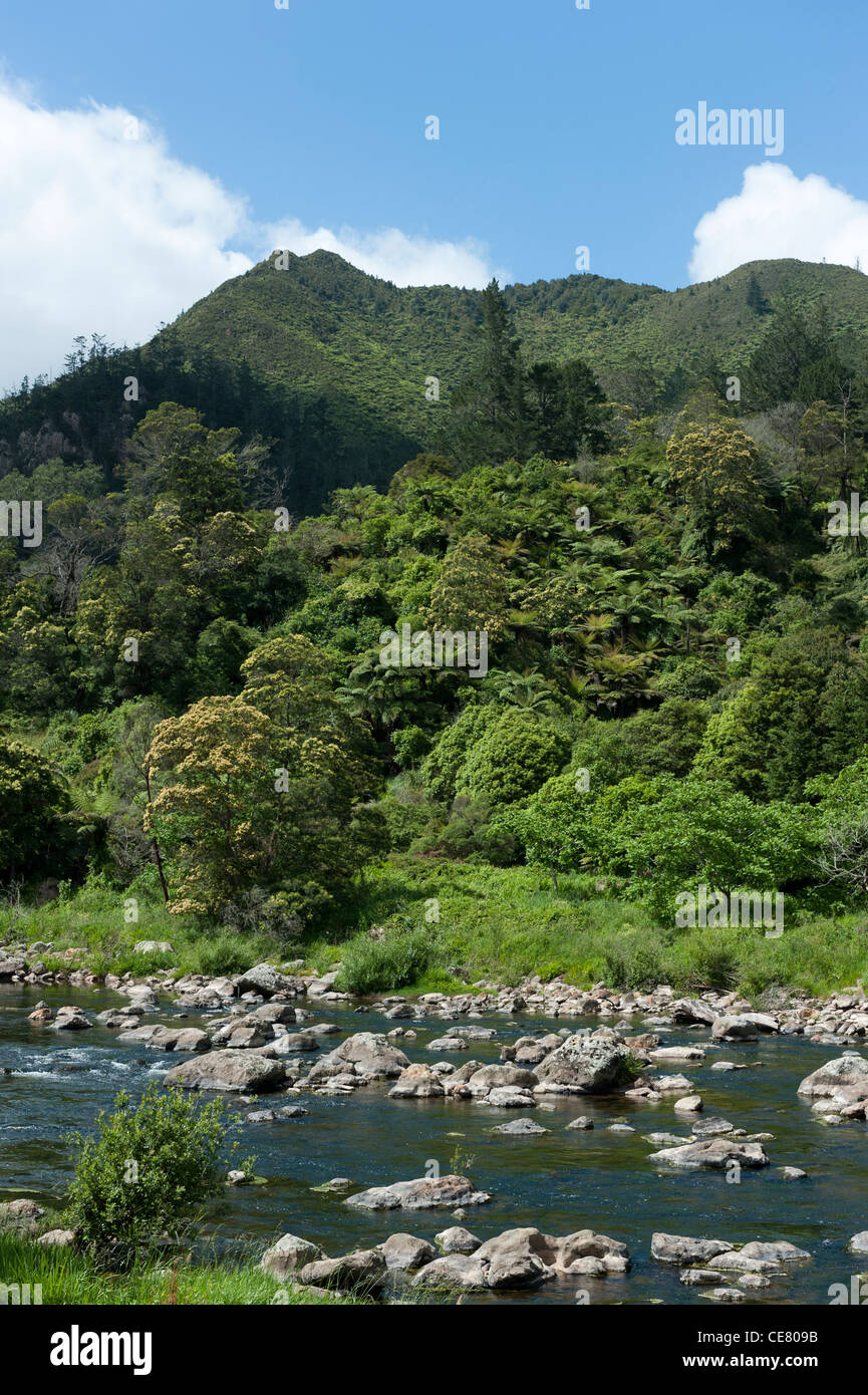 View over the  Ohinemuri river in the Karangahake Gorge Stock Photo