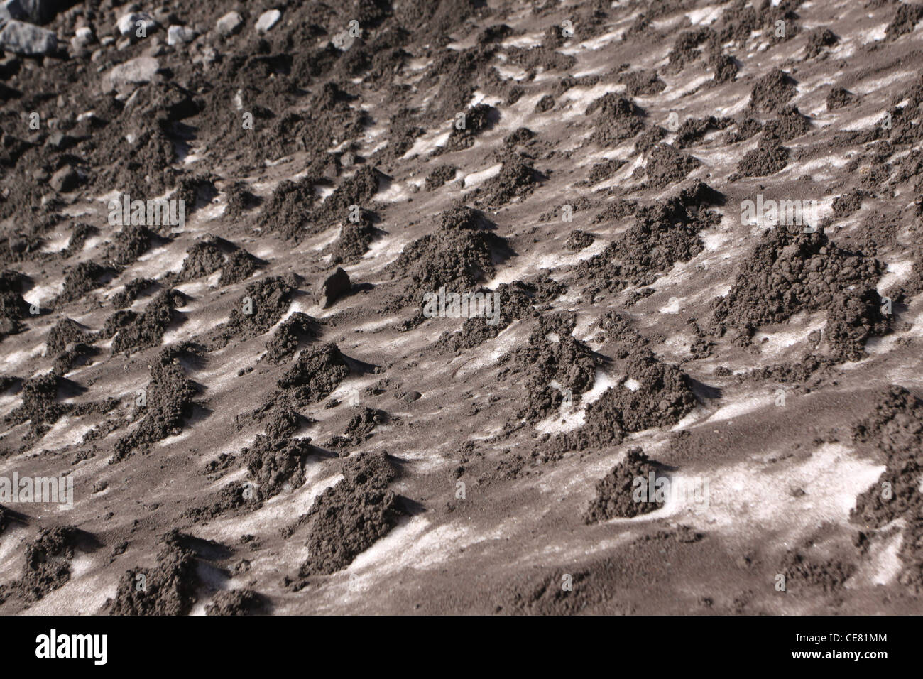 snow field ash outside of crater Mount St Helens Volcano National ...