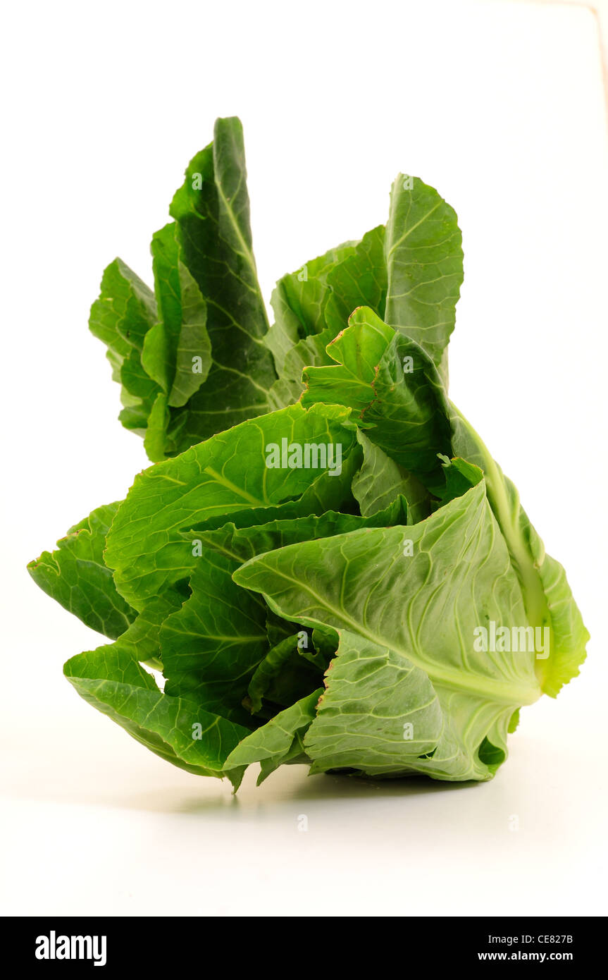 Cornish Spring Greens.Vegetables Grown in Cornwall. Stock Photo