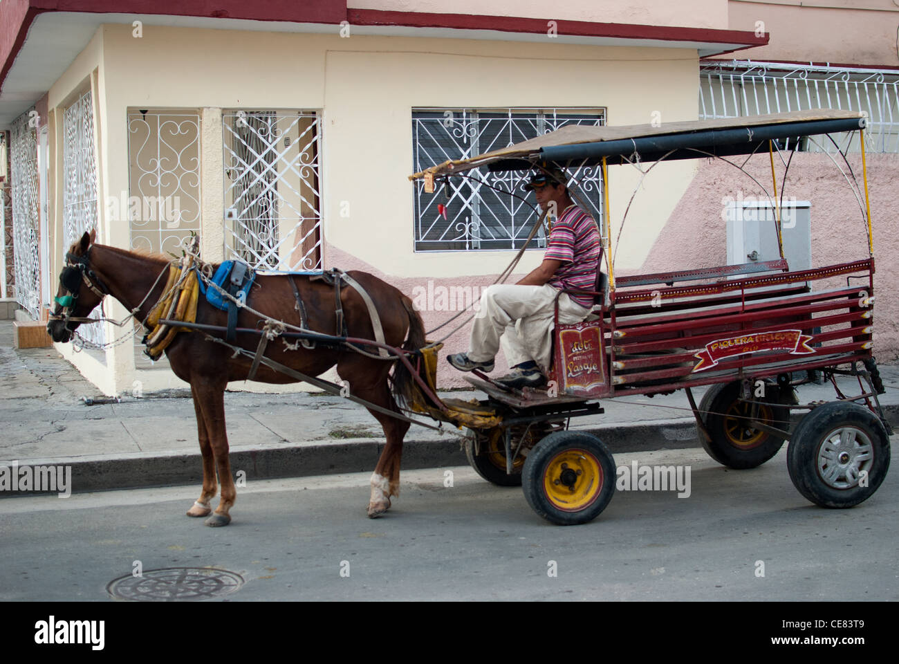 Horse Riding Rickshaw Horse pulling the rickshaw, Cienfuegos, Cuba Stock Photo - Alamy