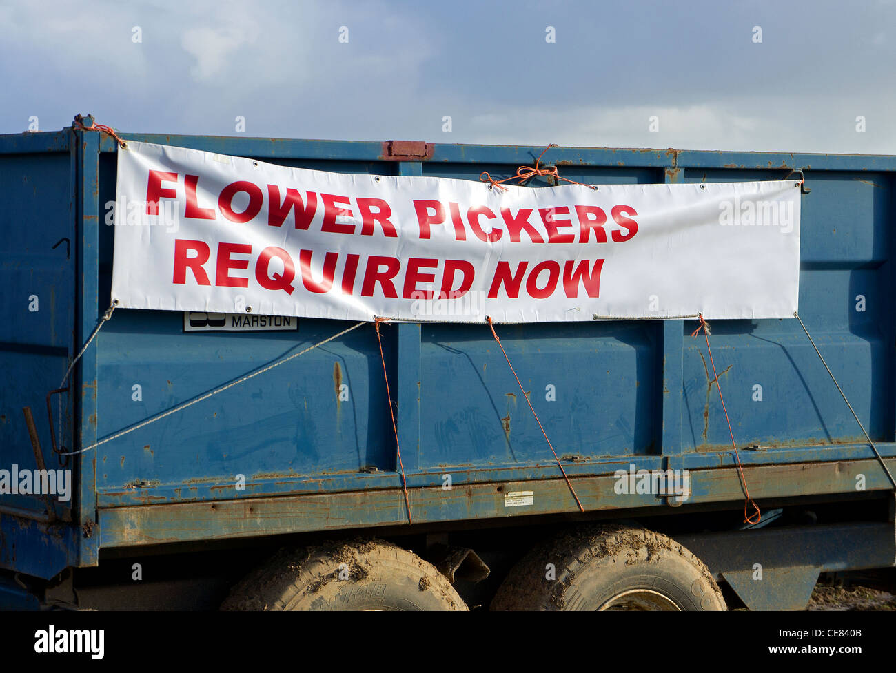 An advert for Flower pickers in Cornwall, UK Stock Photo