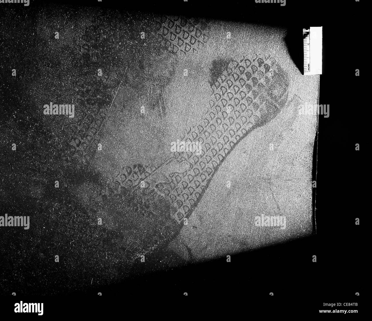 shoe impression evidence interview