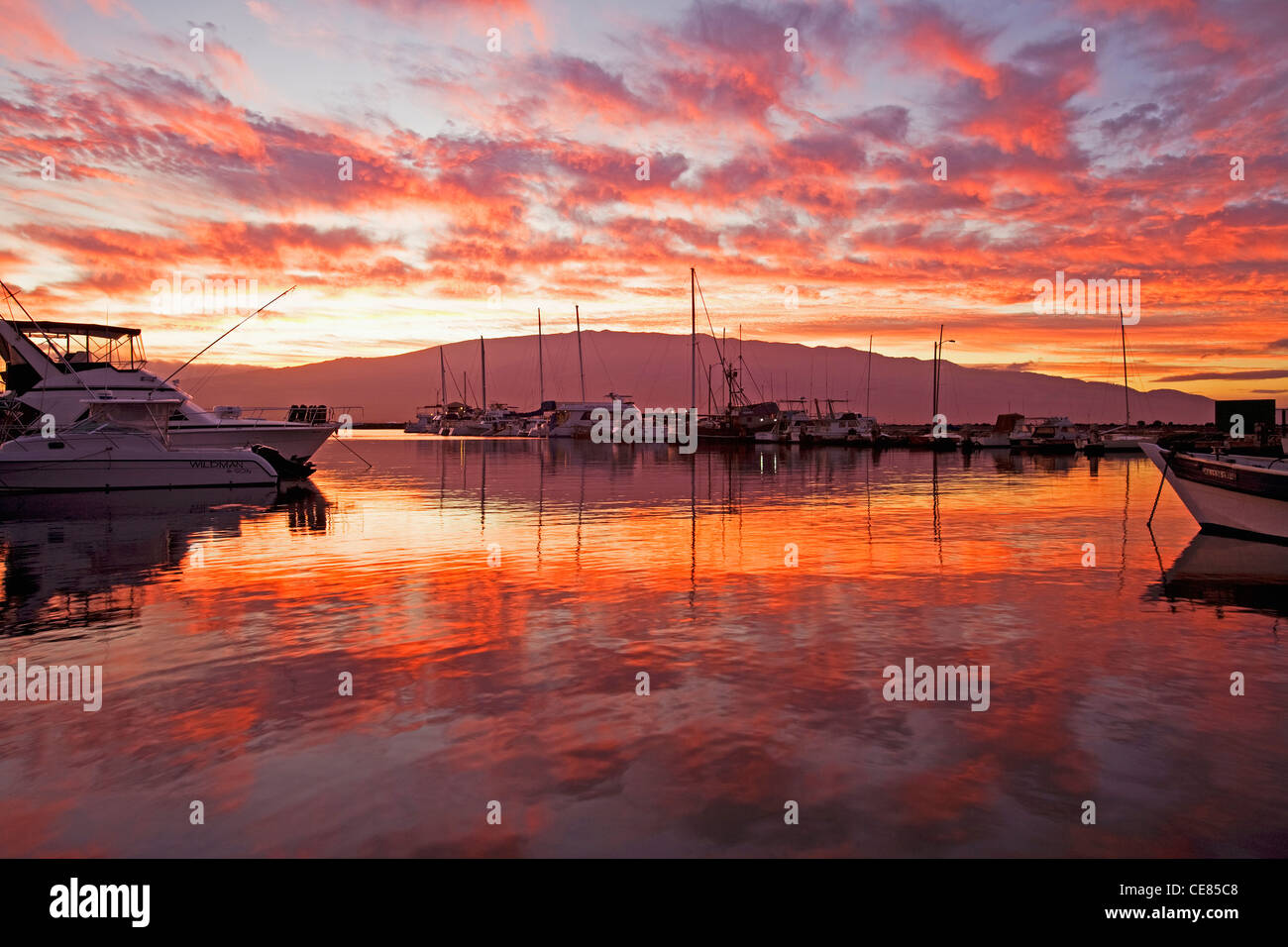 Magenta sunrise at Ma'alaea, Maui, Hawaii Stock Photo Alamy