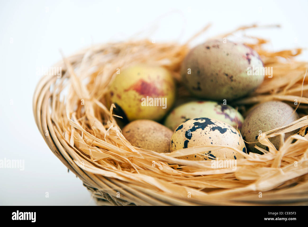 Close up of ornate quails eggs in a basket Stock Photo