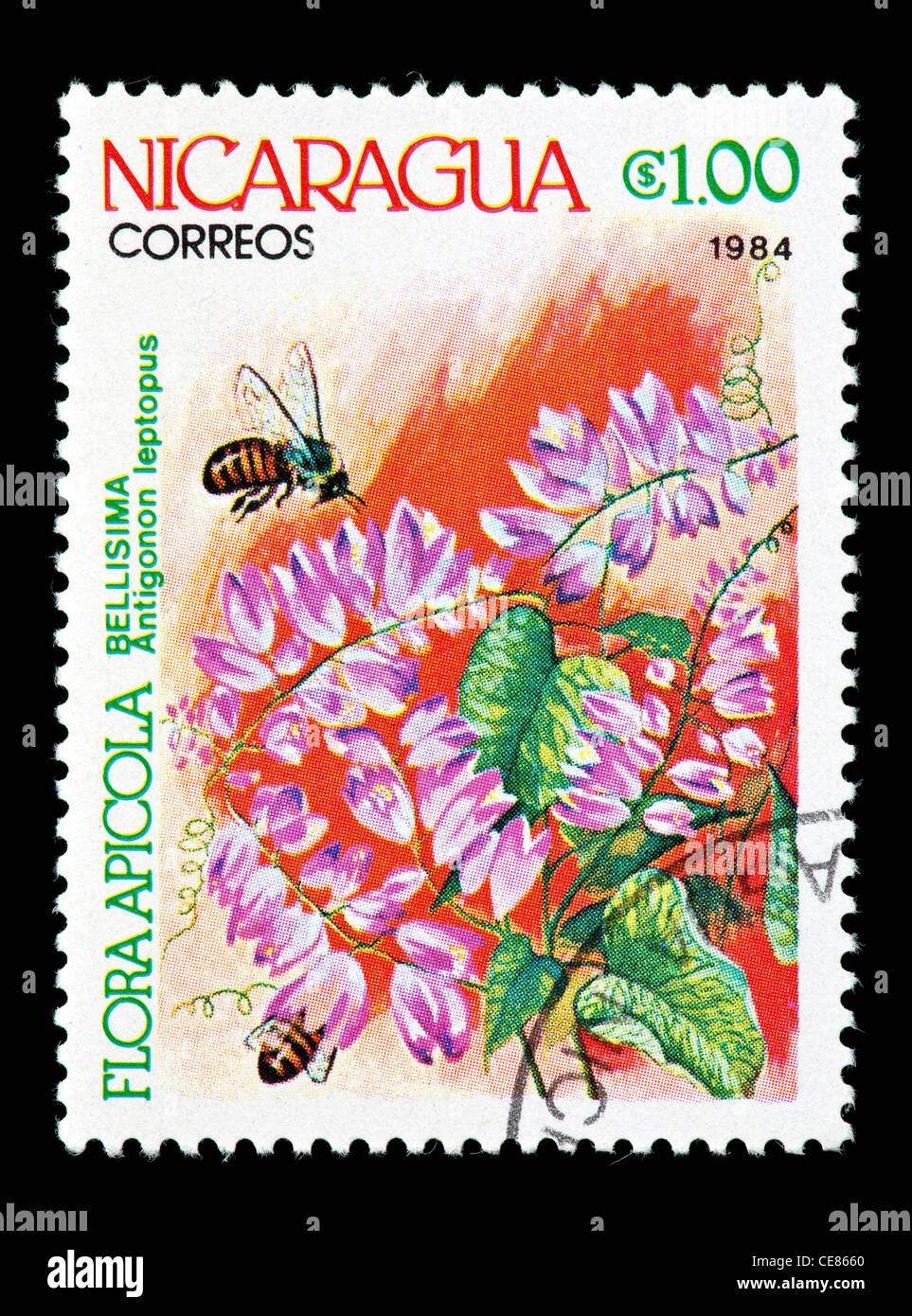 Postage stamp from Nicaragua depicting bees pollinating coral vine (Antigonon leptopus) Stock Photo