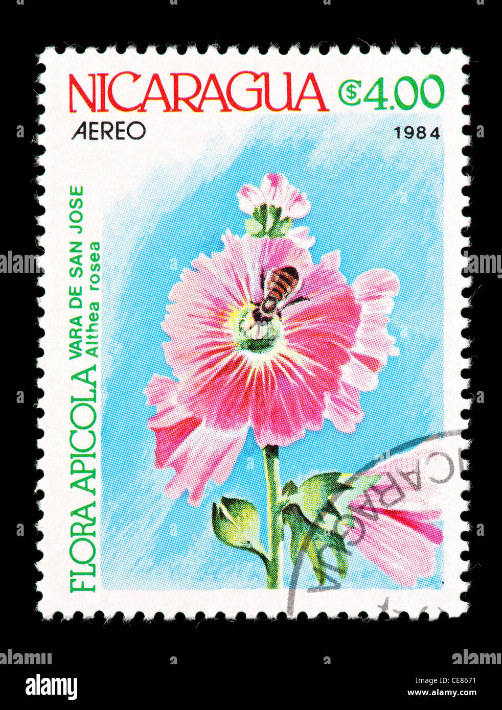 Postage stamp from Nicaragua depicting bees pollinating English Hollyhock  (Althea rosea) Stock Photo