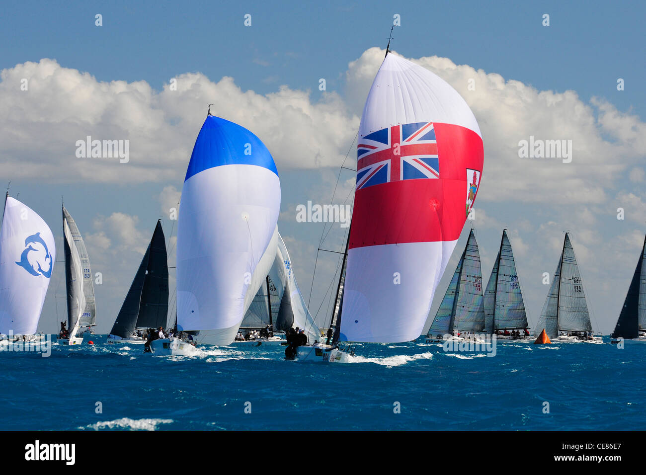 Quantum Key West Race Week 2012 Sailboat Sailing Regatta sailboat
