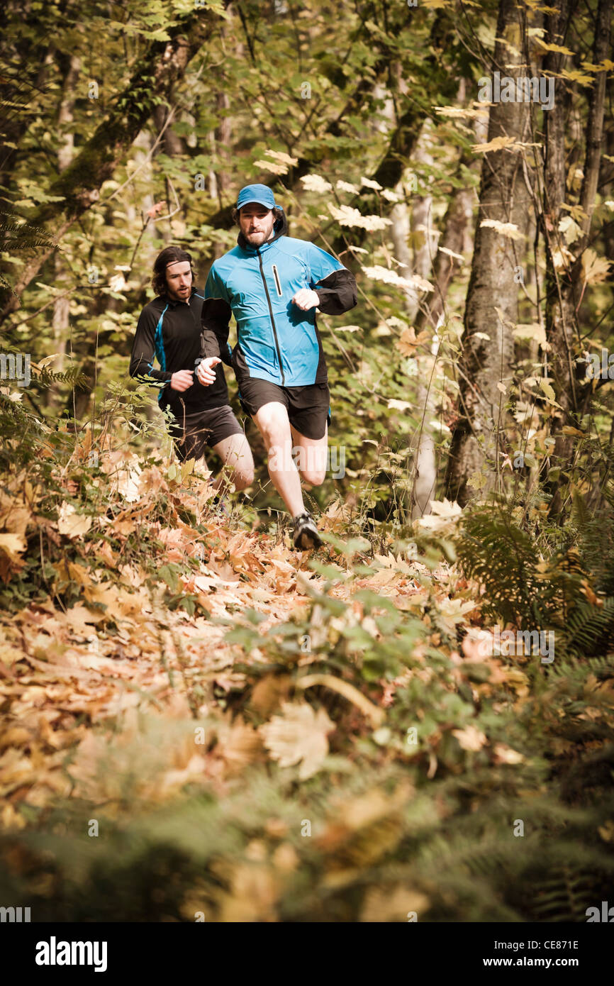 Two men trail running through a forest in the Fall colors. Stock Photo