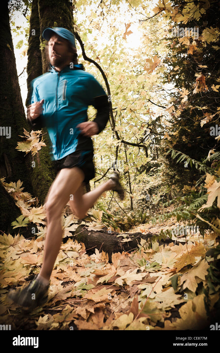 A man trail running in the forest in Fall colors. Stock Photo