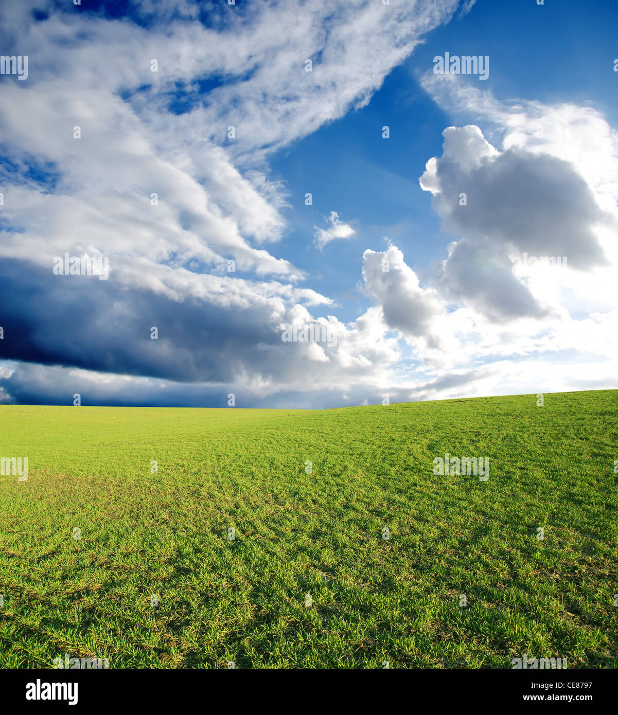 field with green grass under deep blue sky with clouds Stock Photo - Alamy