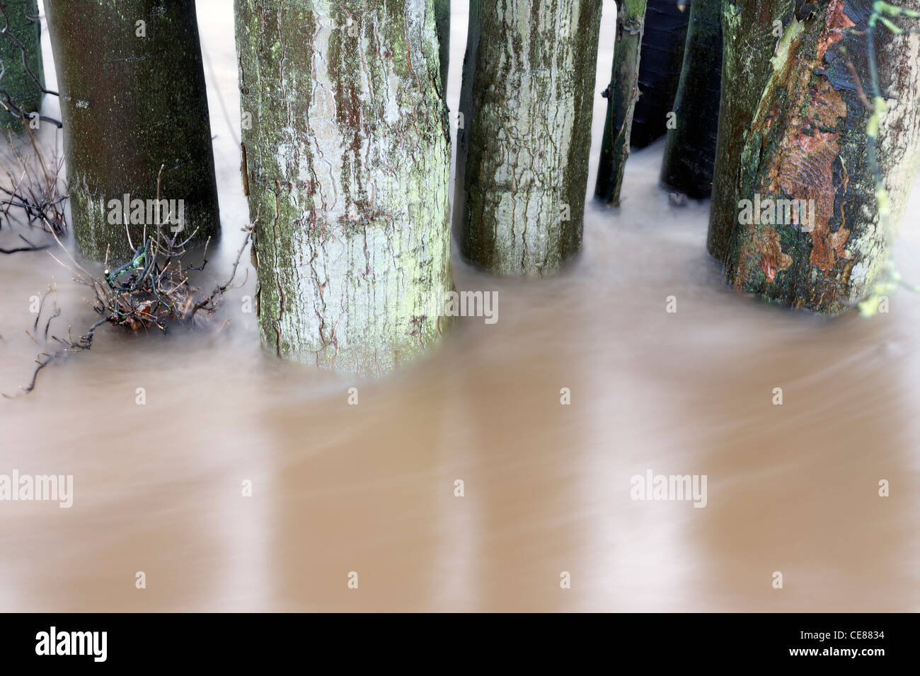 Trees in fast flowing flood water Stock Photo