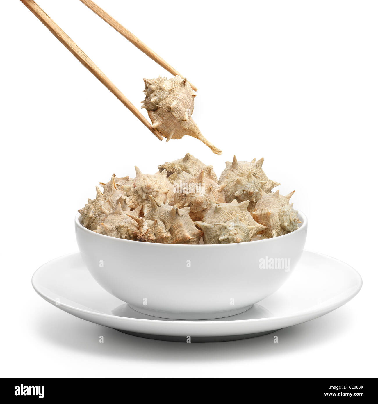 Clean white plate of sea snails with chopsticks motion Stock Photo