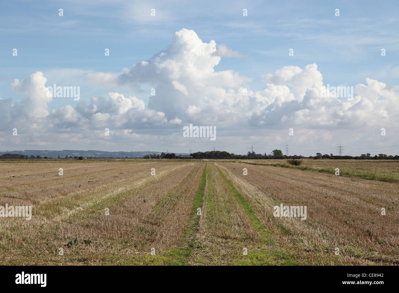 after harvest showing stubble fields in late summer Stock Photo - Alamy