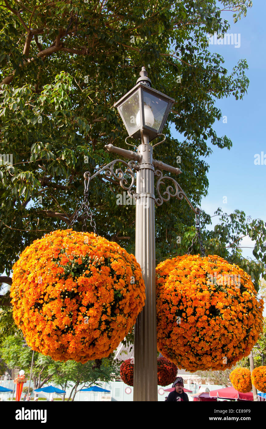 Ball shaped flowers hires stock photography and images Alamy