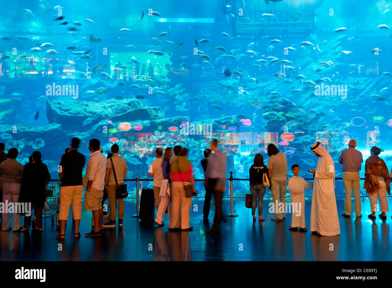 Dubai, Small crowd of visitors gather at massive window of Dubai Aquarium at Dubai Mall Stock Photo
