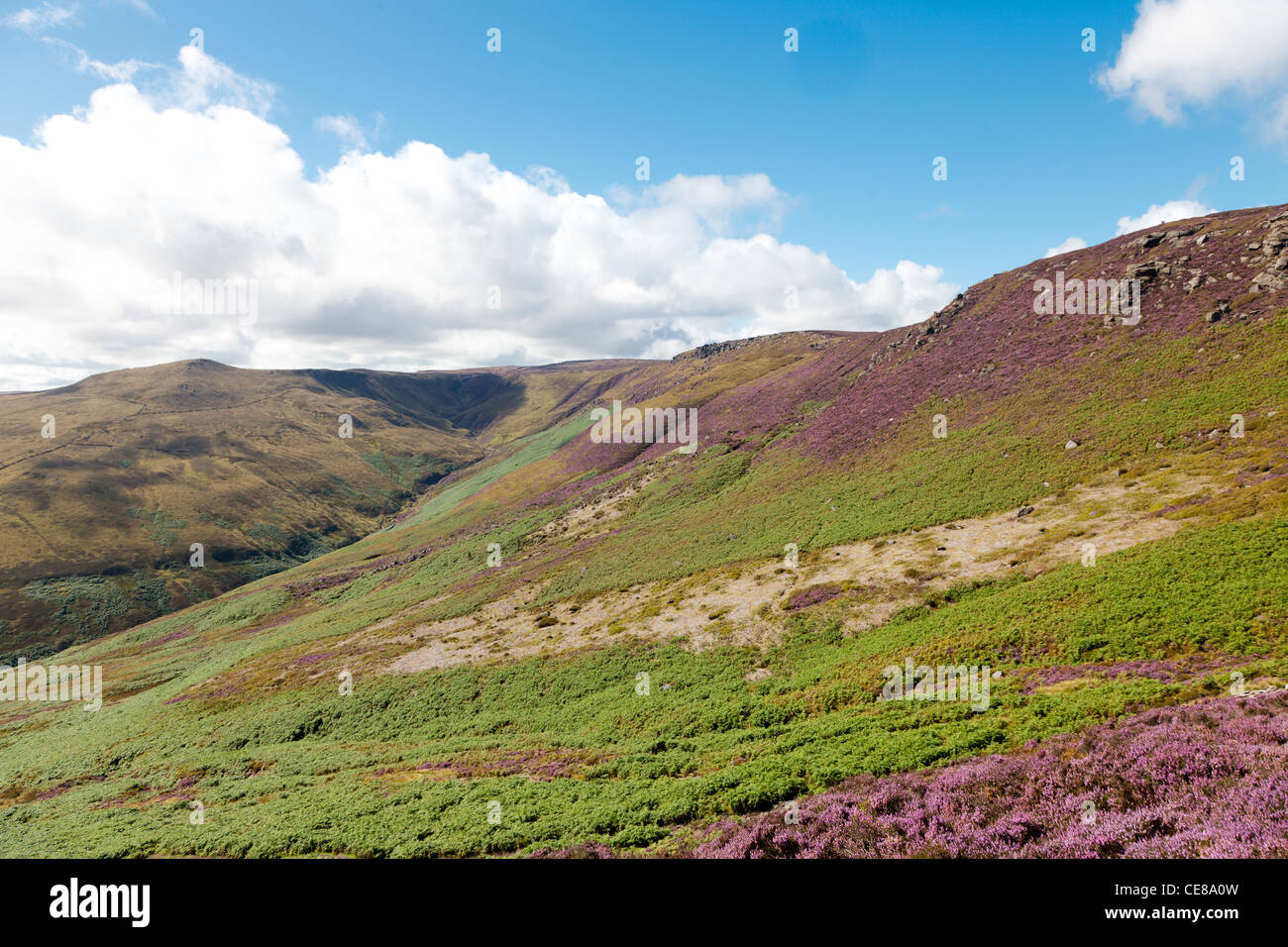 heather moorland near Castleton Derbyshire Stock Photo