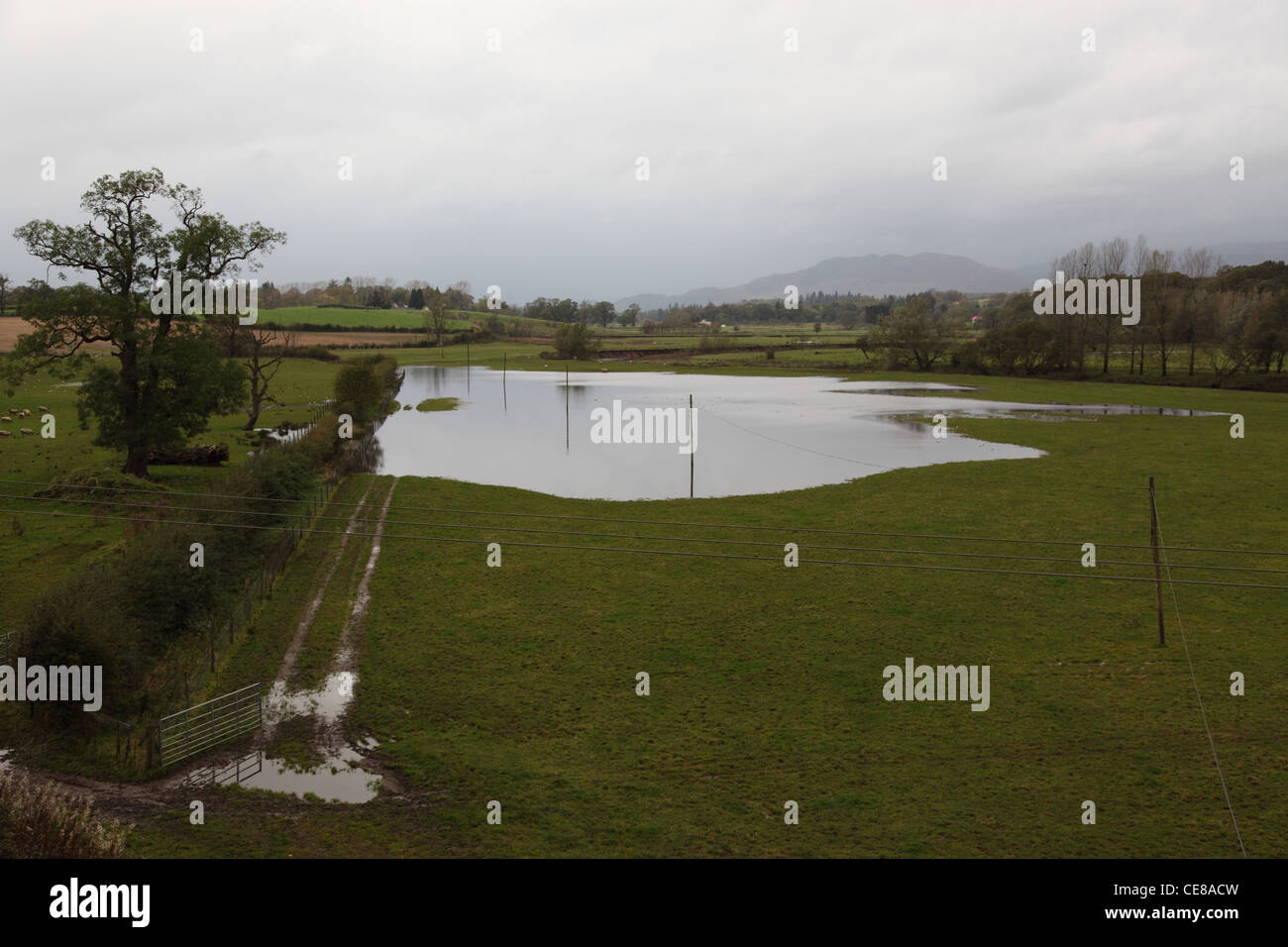Flooding Near To Loch Lomond Following Heavy Rainfall Stock Photo Alamy Flooding Near To Loch Lomond Following Heavy Rainfall Stock Photo Alamy