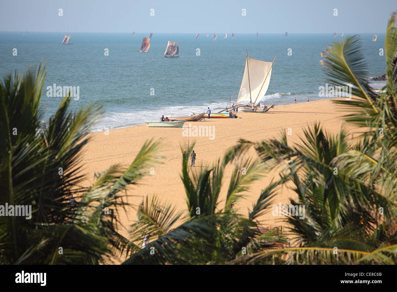 Sri Lanka, Western Province, Negombo, sun, beach, sea, Traditional Outrigger Fishing Boats, vessel, boat Stock Photo