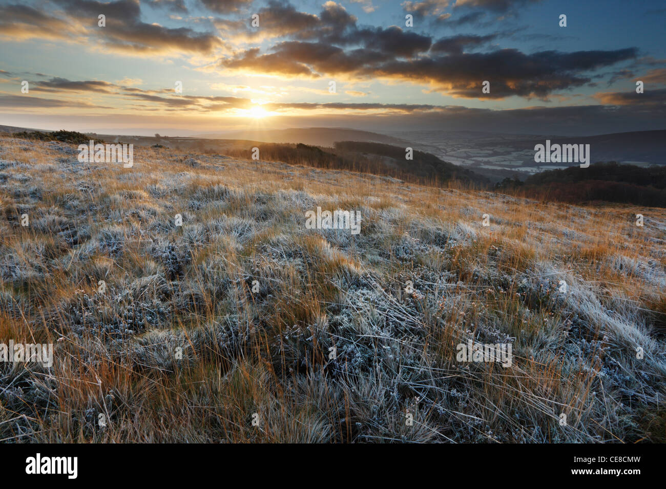 Selworthy Beacon, Winter Sunrise. Holnicote Estate. Exmoor National Park. England. UK. Stock Photo