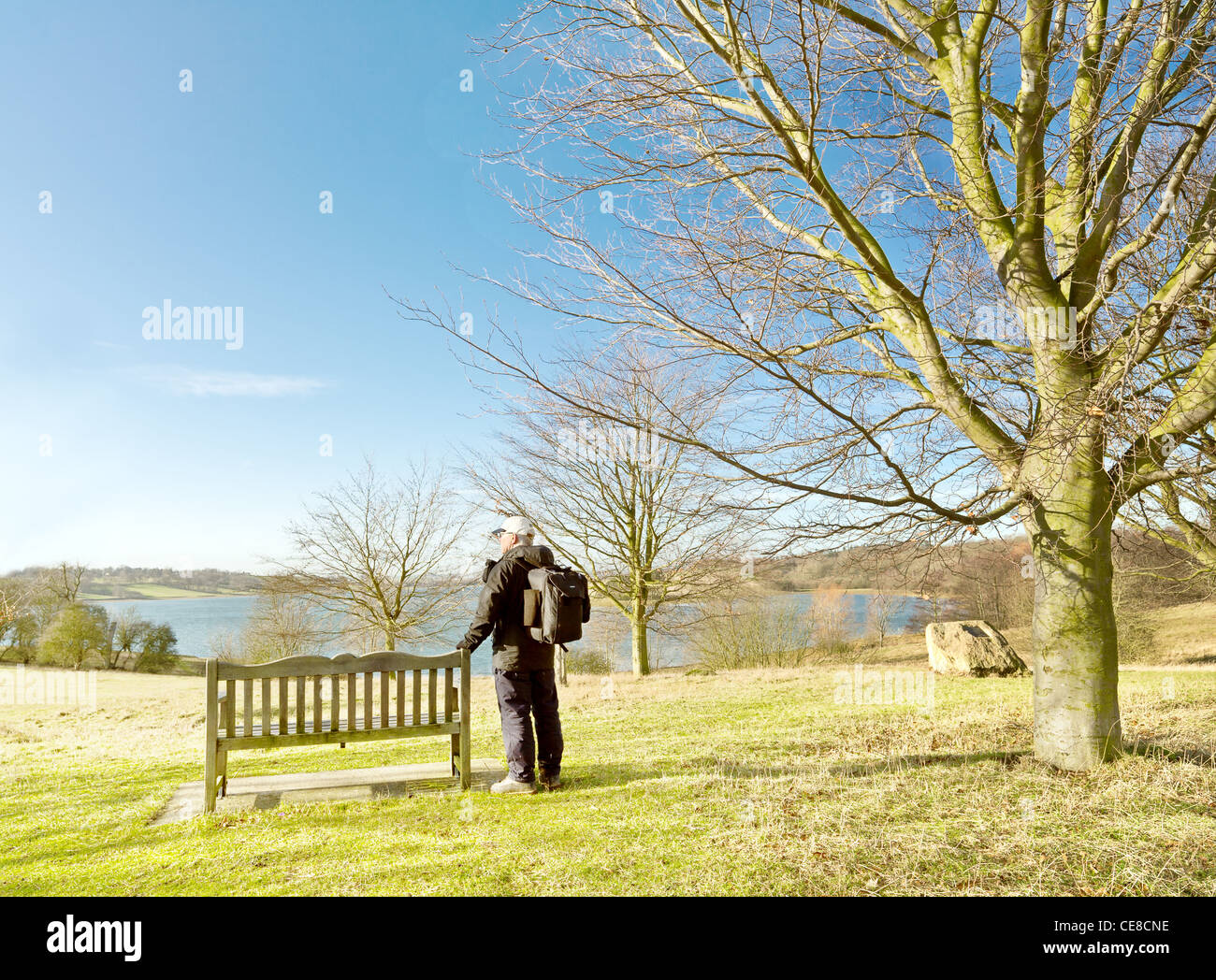 Stop and stare hi-res stock photography and images - Alamy