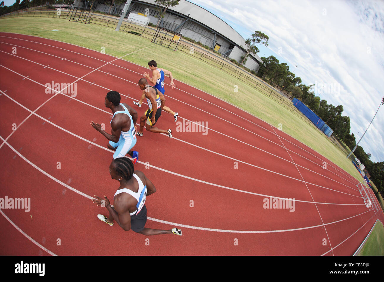 Runners In Race Stock Photo Alamy