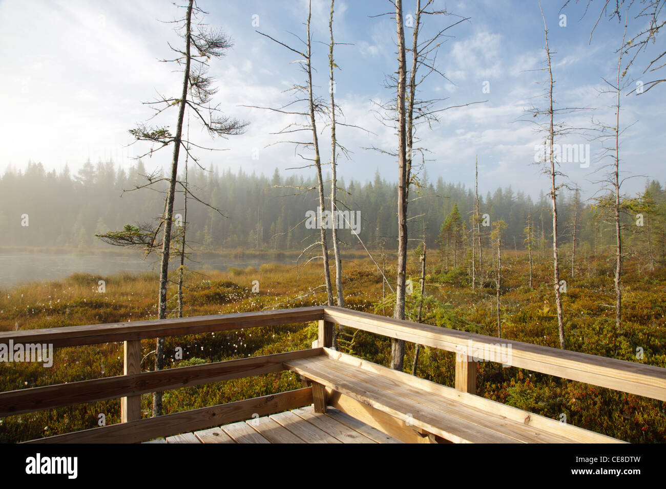 Pondicherry Wildlife Refuge Mud Pond in Jefferson, New Hampshire USA