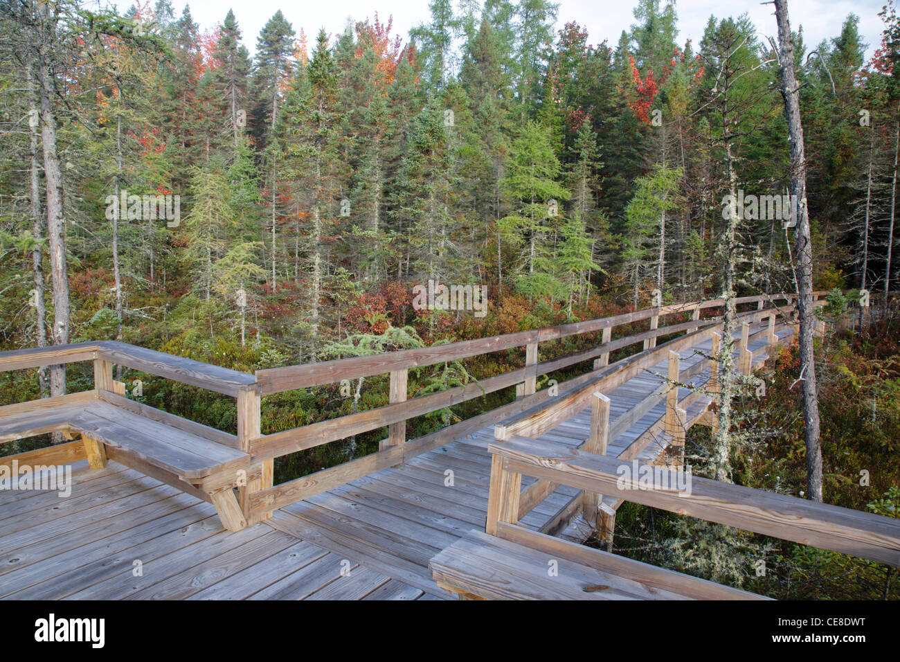 Pondicherry Wildlife Refuge Mud Pond in Jefferson, New Hampshire USA