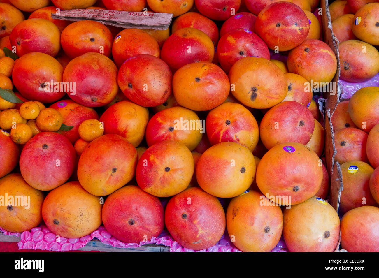 Mangoes on sale, Singapore Stock Photo Alamy