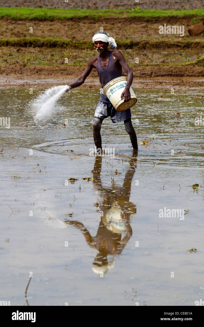 Man preparing field for planting, a scene by the road between Belur and Halebeedu, Karnataka, India. Stock Photo