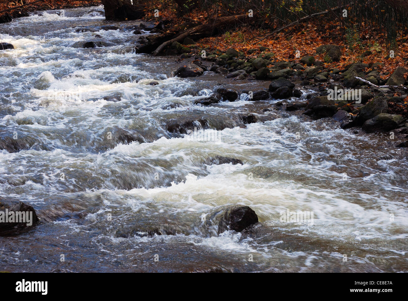 Creek water flows though suburban park Stock Photo Alamy