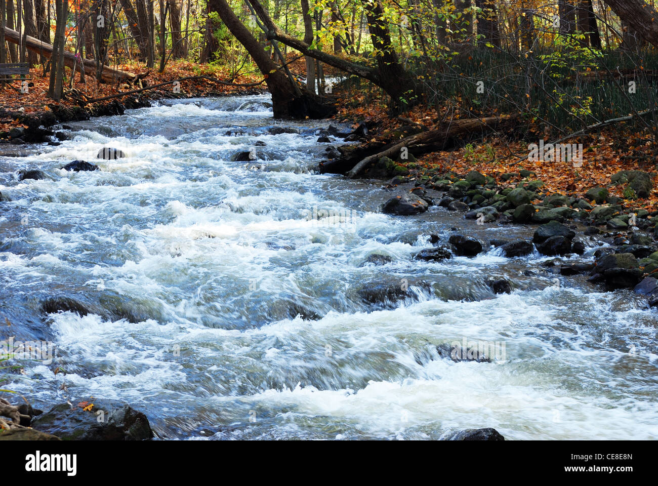 Creek water flows though suburban park Stock Photo Alamy