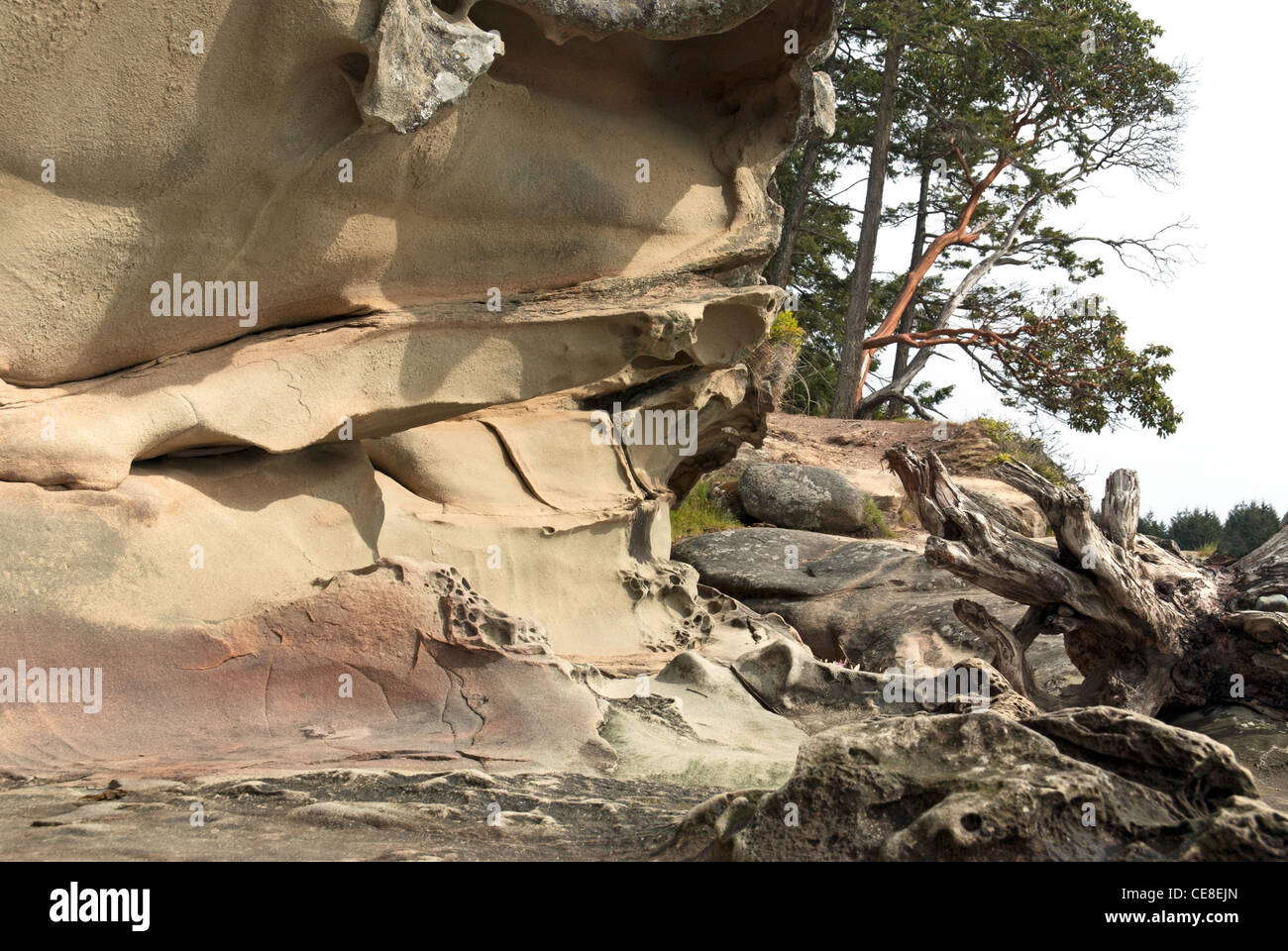 Stone carvings and caves in Gabriola Island Stock Photo - Alamy